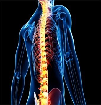  Spine Pain Care